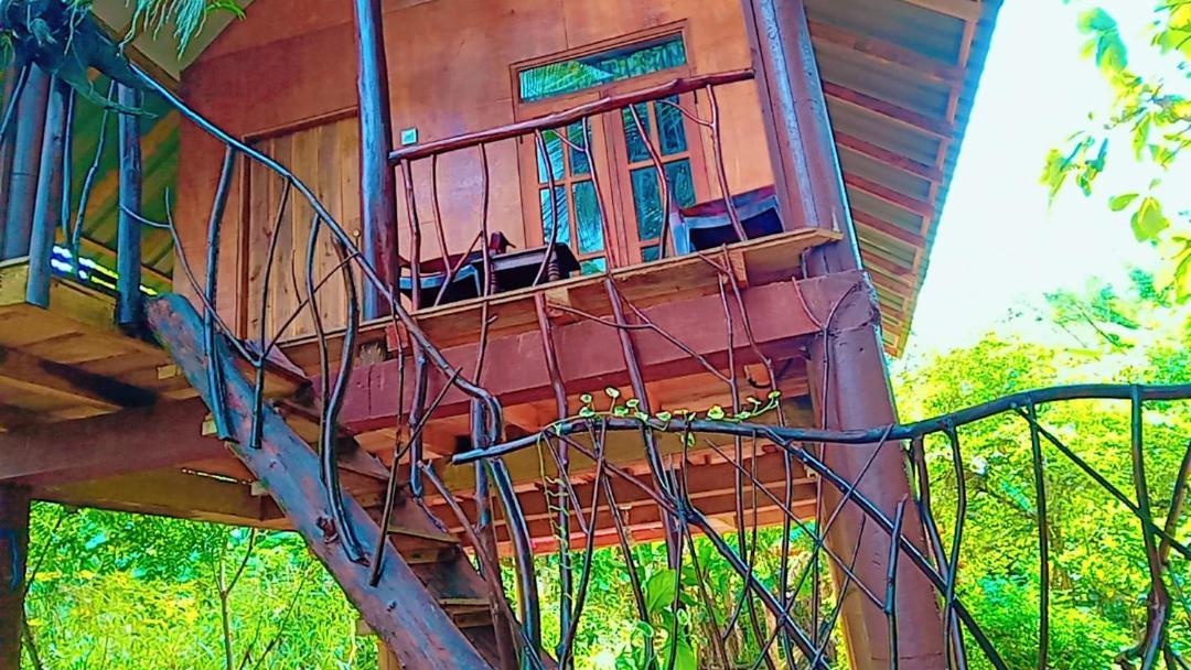 Hotel Sigiri Aliya Tree House Sigirija Zewnętrze zdjęcie